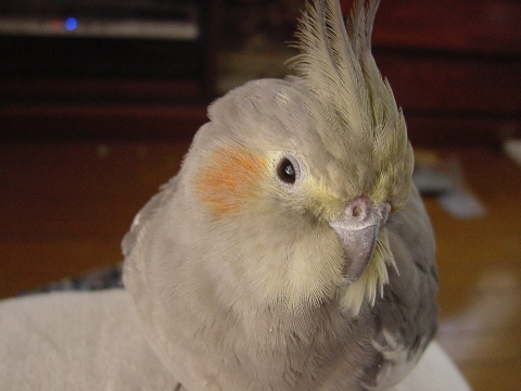 b0026408_23141262.jpg