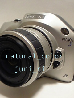 c0063808_13331347.jpg