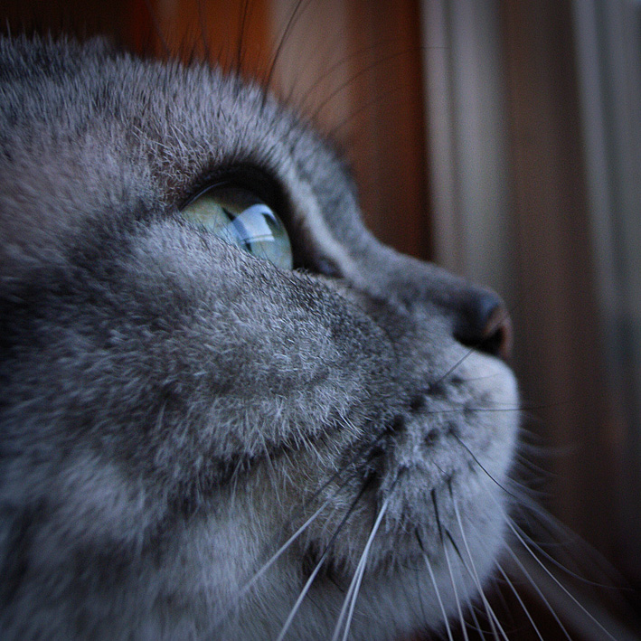 ビー玉の眼_c0092909_18385756.jpg