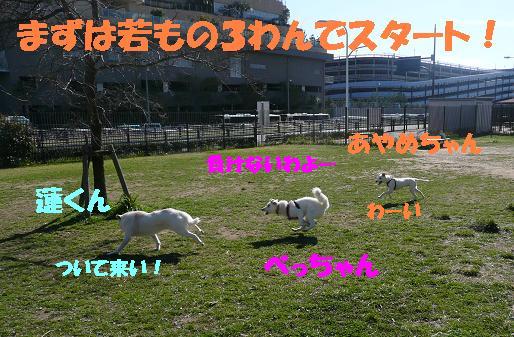 楽しいひととき♪_f0121712_738398.jpg