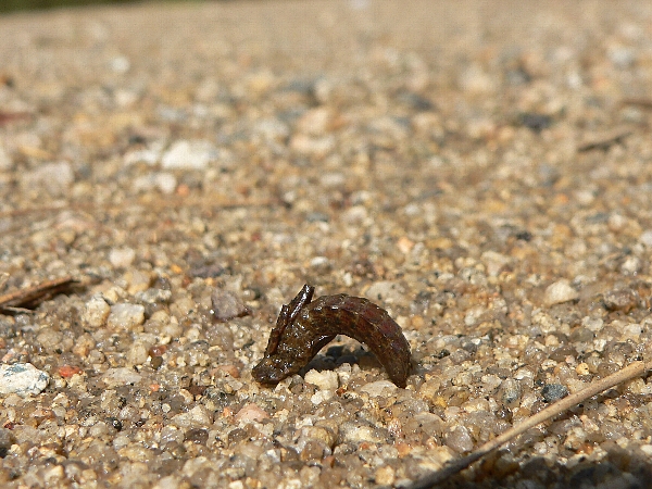 e0002314_16455528.jpg