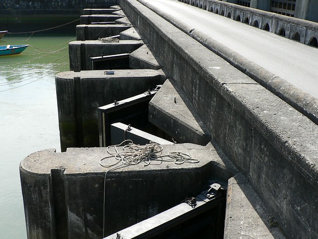 f0143119_20203773.jpg