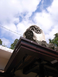ハコニワへ_c0194929_15211383.jpg