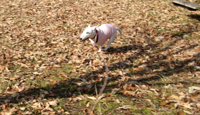 c0192330_10402546.jpg