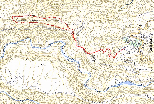 川音岳（１０４０．８ｍ）（２月１９日）_f0003138_933276.jpg