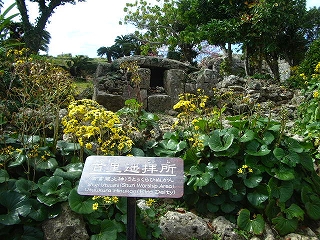 沖縄ーオキナワ　見聞録（祈りの島の”グスク”）_c0135543_9455414.jpg