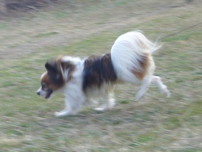 e0100046_1742771.jpg