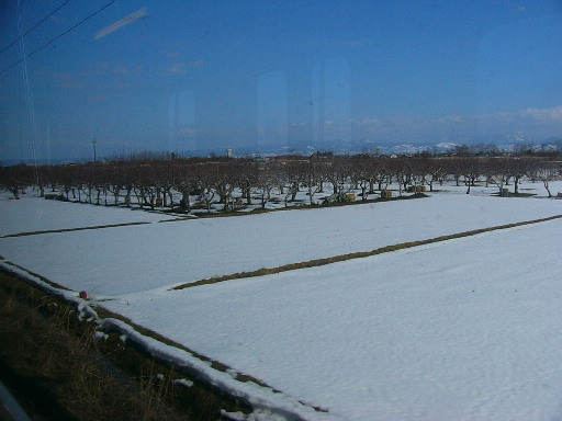 津軽じょっぱり　酒蔵巡り　《豊盃　三浦酒造さん》_f0193752_0504633.jpg