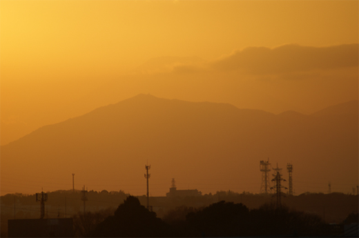 FUJIYAMA is seen over there of yellow wind_e0150566_238153.jpg