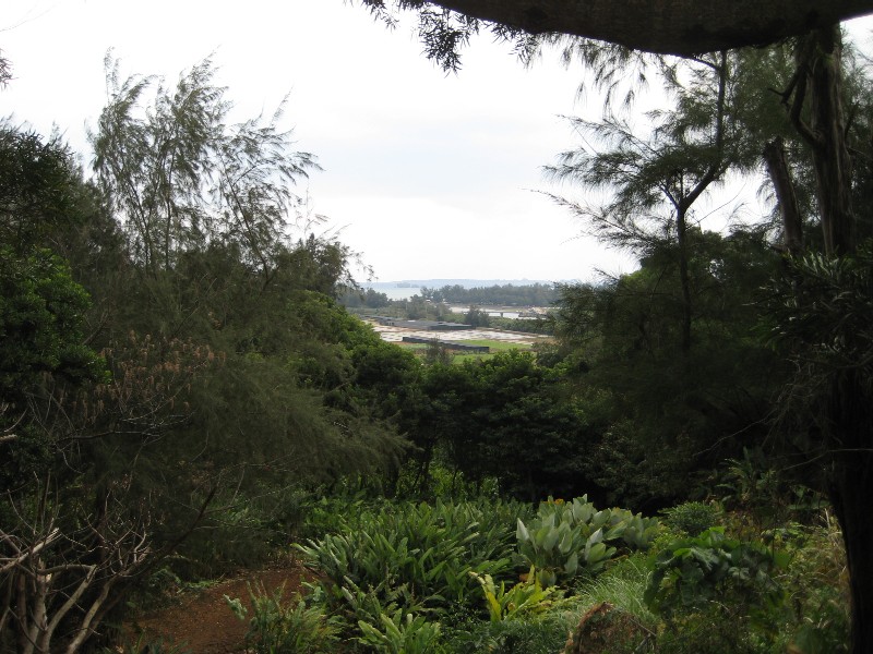 c0013687_1281265.jpg