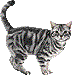 e0170687_1817999.gif