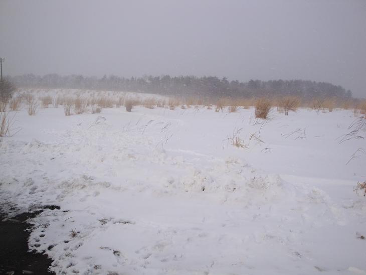 f0075595_18144433.jpg