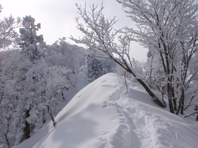 c0147398_2211098.jpg
