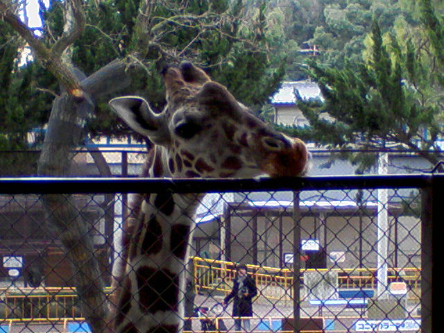 f0197703_17402386.jpg