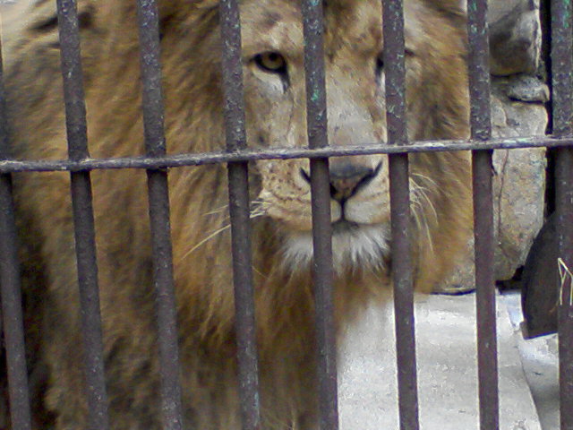 f0197703_17413290.jpg