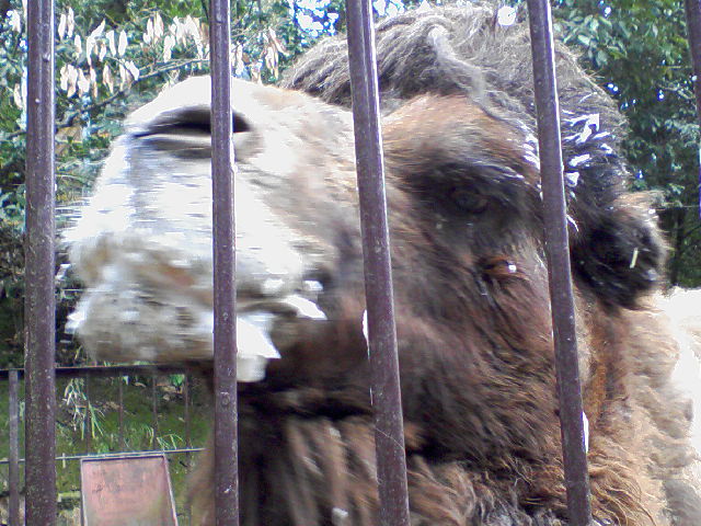 f0197703_17422873.jpg