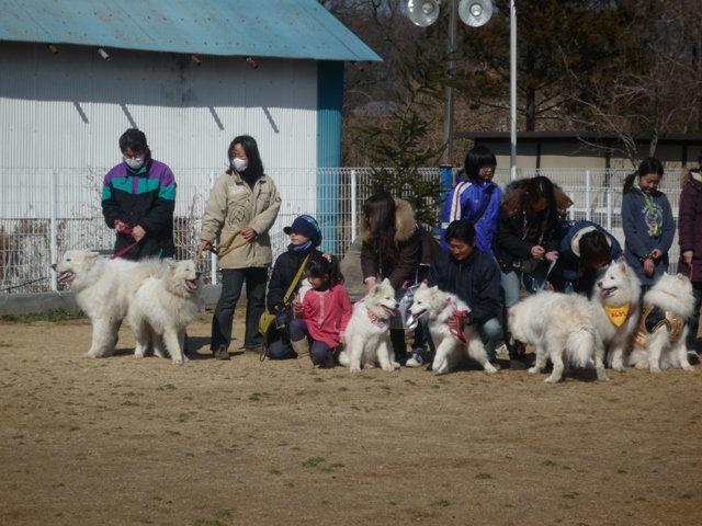 ドックラン　毛呂山～♪　　２月２１日　[土]_e0018604_12432897.jpg