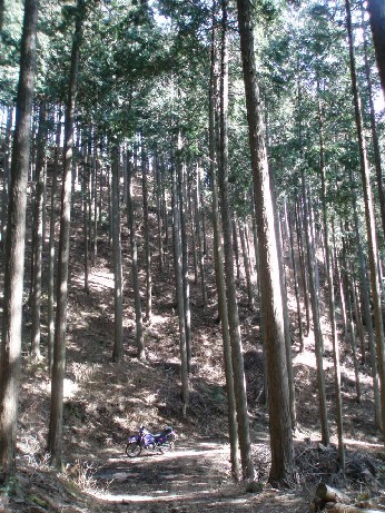 e0118908_1931143.jpg