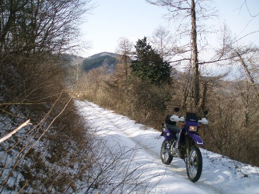 e0118908_19403848.jpg