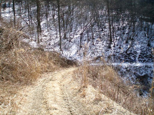 e0118908_194133.jpg