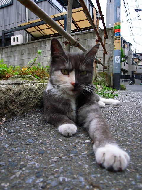 c0071611_13175491.jpg