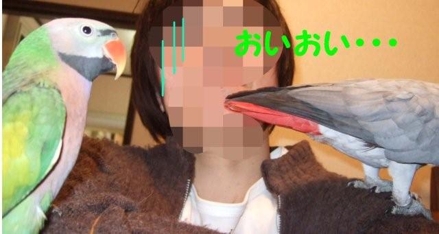 c0133013_2023461.jpg