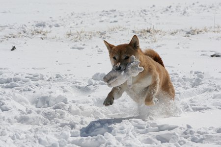 2/21　深雪で遊ぶ～_d0143214_21471282.jpg