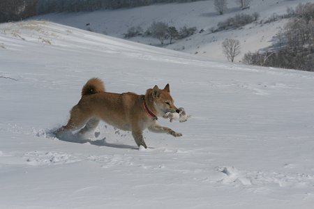 2/21　深雪で遊ぶ～_d0143214_214721100.jpg