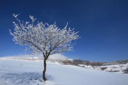 2/21　深雪で遊ぶ～_d0143214_21491145.jpg