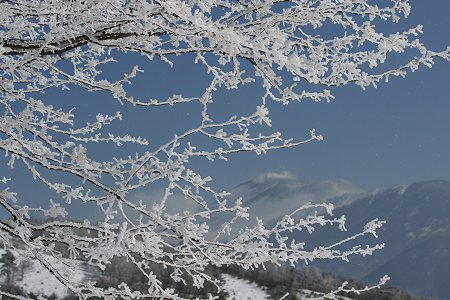 2/21　深雪で遊ぶ～_d0143214_21492195.jpg