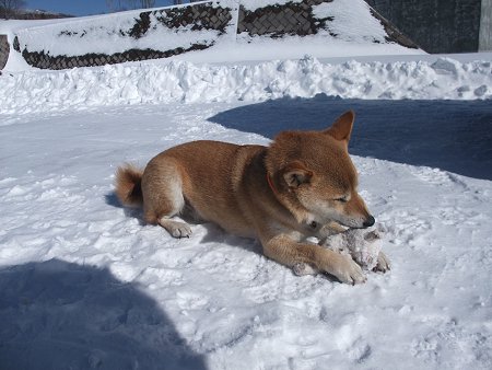 2/21　深雪で遊ぶ～_d0143214_21494770.jpg