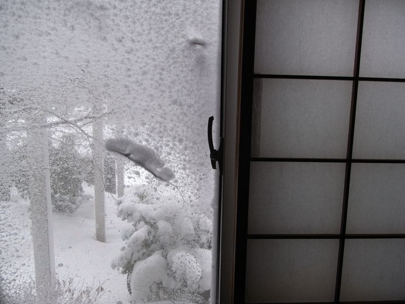 暴風雪、三岸好太郎美術館、サイエンスカフェ打ち合わせ_c0025115_1272899.jpg