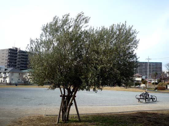 e0158919_15524149.jpg