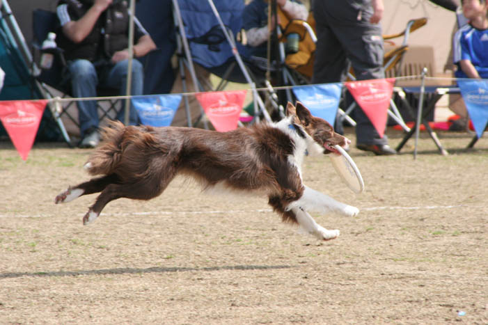 SDC杯　2月大会　於　菊地市営中央グランド 　その２_d0037627_1443474.jpg