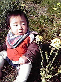 a0075133_0165431.jpg