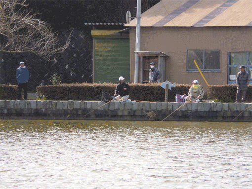 a0056140_23355955.gif