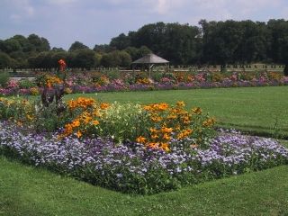 f0166749_784849.jpg