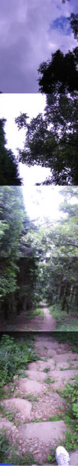 e0033751_21172323.jpg