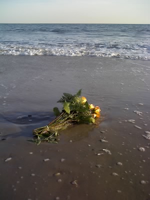 浜辺の花束_f0088456_6561240.jpg