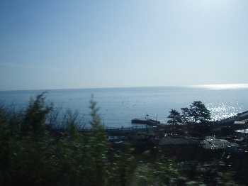 河津桜まつり_a0061057_22491247.jpg