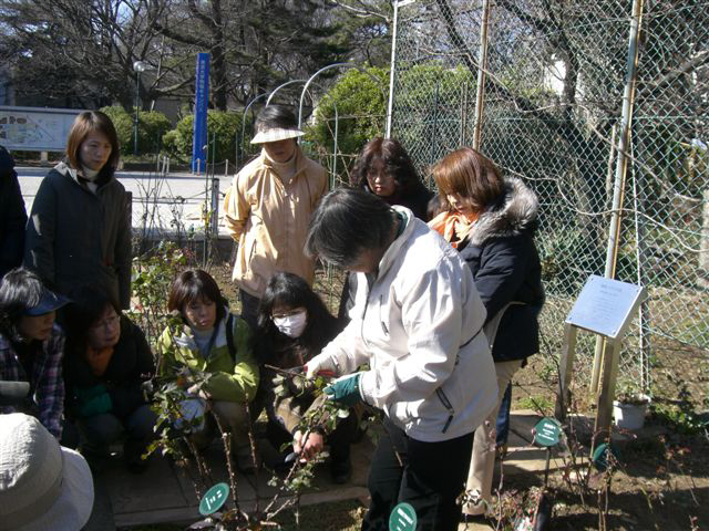 野村先生の駒場バラ会向けミニ講習_a0094959_15122283.jpg