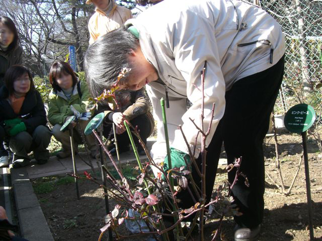 野村先生の駒場バラ会向けミニ講習_a0094959_1513401.jpg
