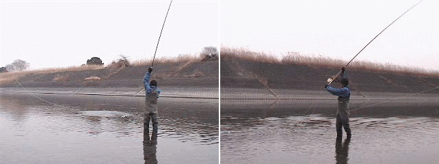 f0084561_13511483.gif