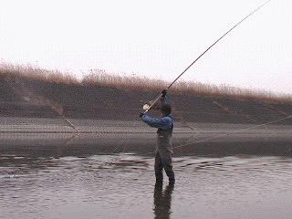 f0084561_13513962.gif