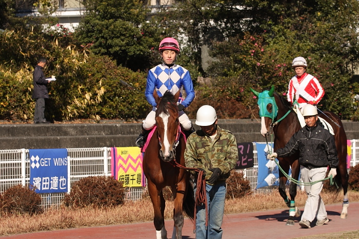 2009年1月11日(日) 高知競馬 6R_a0077663_8254120.jpg