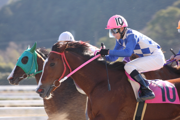 2009年1月11日（日） 高知競馬 6R_a0077663_8263259.jpg