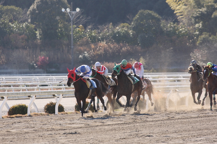 2009年1月11日（日） 高知競馬 6R_a0077663_8271067.jpg