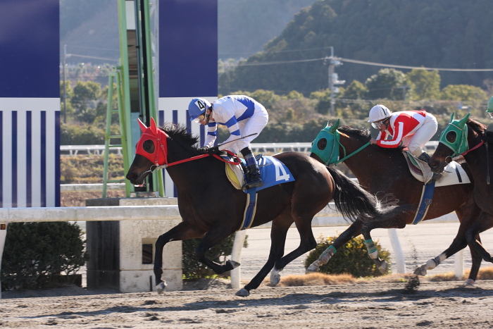 2009年1月11日(日) 高知競馬 6R_a0077663_827265.jpg