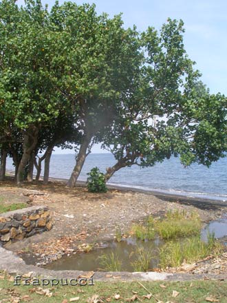 d0056263_0193647.jpg