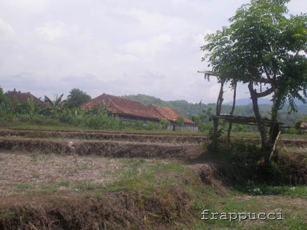 d0056263_0202445.jpg